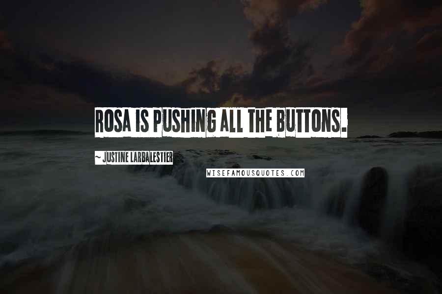Justine Larbalestier Quotes: Rosa is pushing all the buttons.