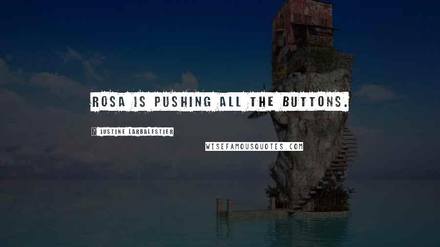 Justine Larbalestier Quotes: Rosa is pushing all the buttons.
