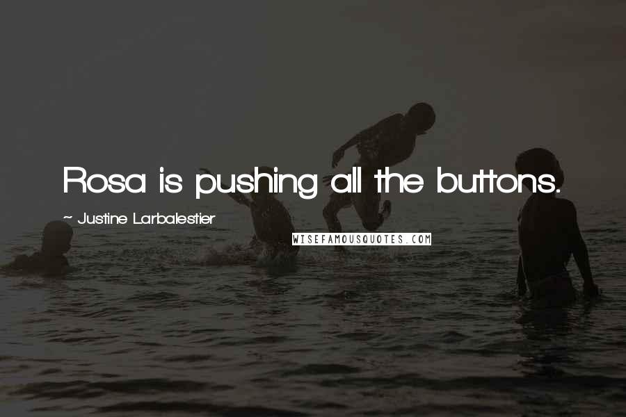 Justine Larbalestier Quotes: Rosa is pushing all the buttons.
