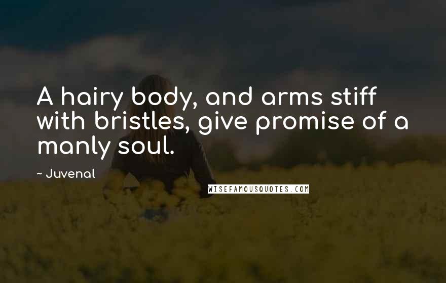 Juvenal Quotes: A hairy body, and arms stiff with bristles, give promise of a manly soul.