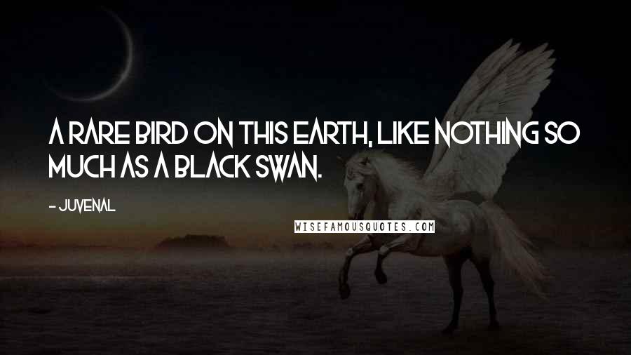 Juvenal Quotes: A rare bird on this earth, like nothing so much as a black swan.