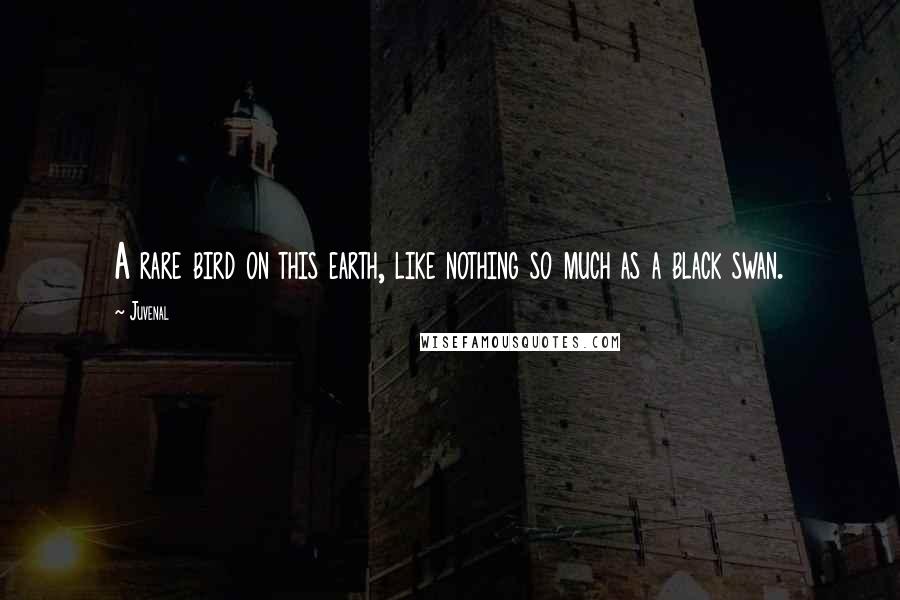 Juvenal Quotes: A rare bird on this earth, like nothing so much as a black swan.