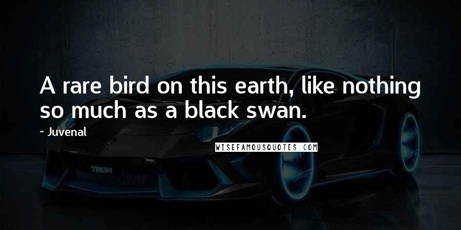 Juvenal Quotes: A rare bird on this earth, like nothing so much as a black swan.