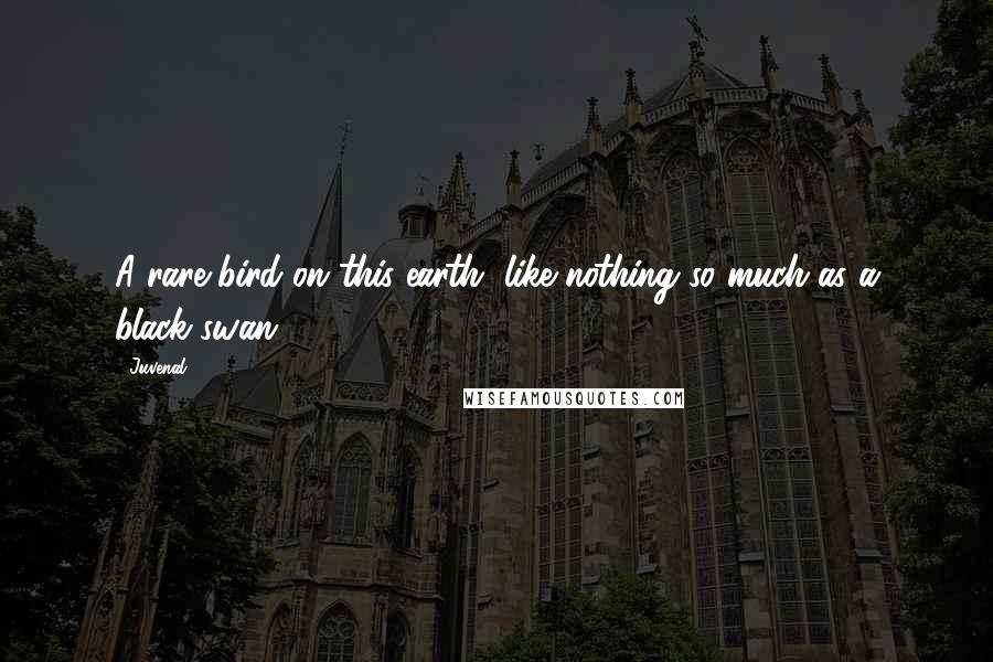 Juvenal Quotes: A rare bird on this earth, like nothing so much as a black swan.