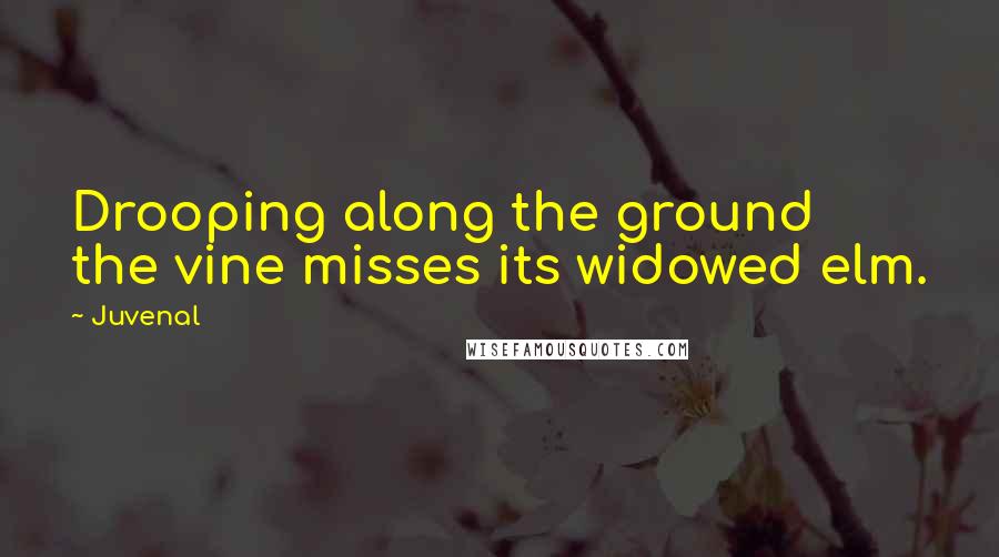 Juvenal Quotes: Drooping along the ground the vine misses its widowed elm.