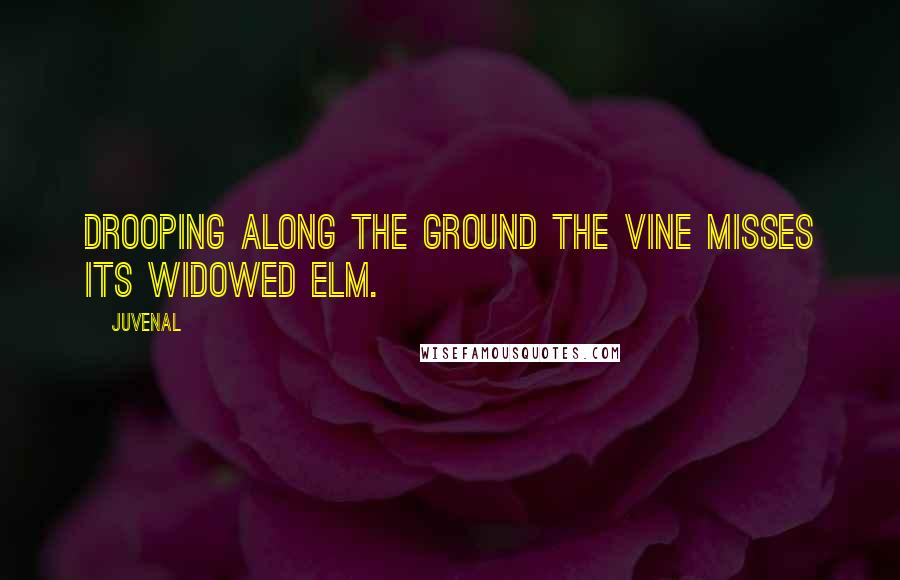 Juvenal Quotes: Drooping along the ground the vine misses its widowed elm.