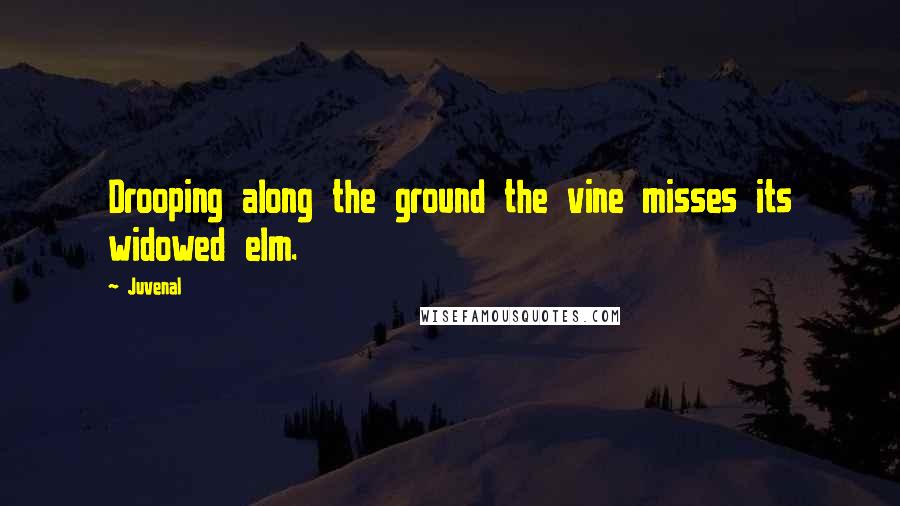 Juvenal Quotes: Drooping along the ground the vine misses its widowed elm.