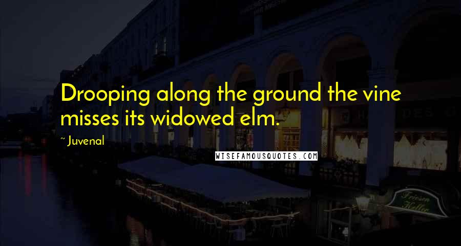 Juvenal Quotes: Drooping along the ground the vine misses its widowed elm.