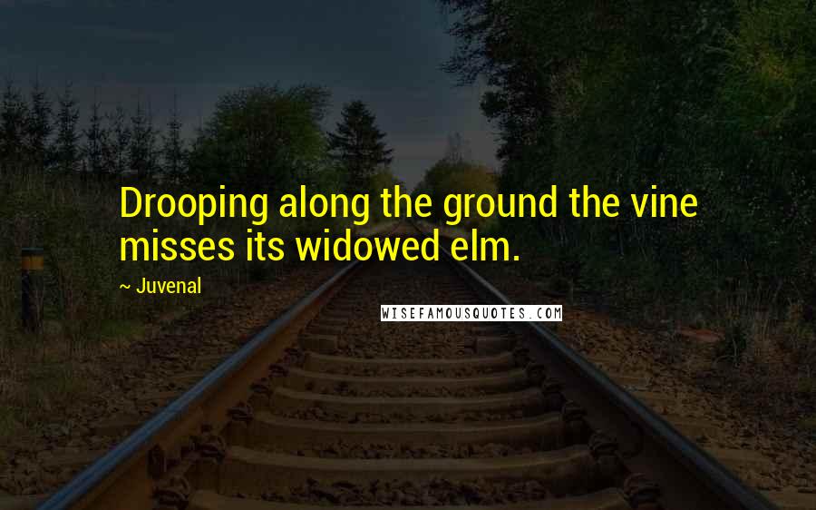 Juvenal Quotes: Drooping along the ground the vine misses its widowed elm.