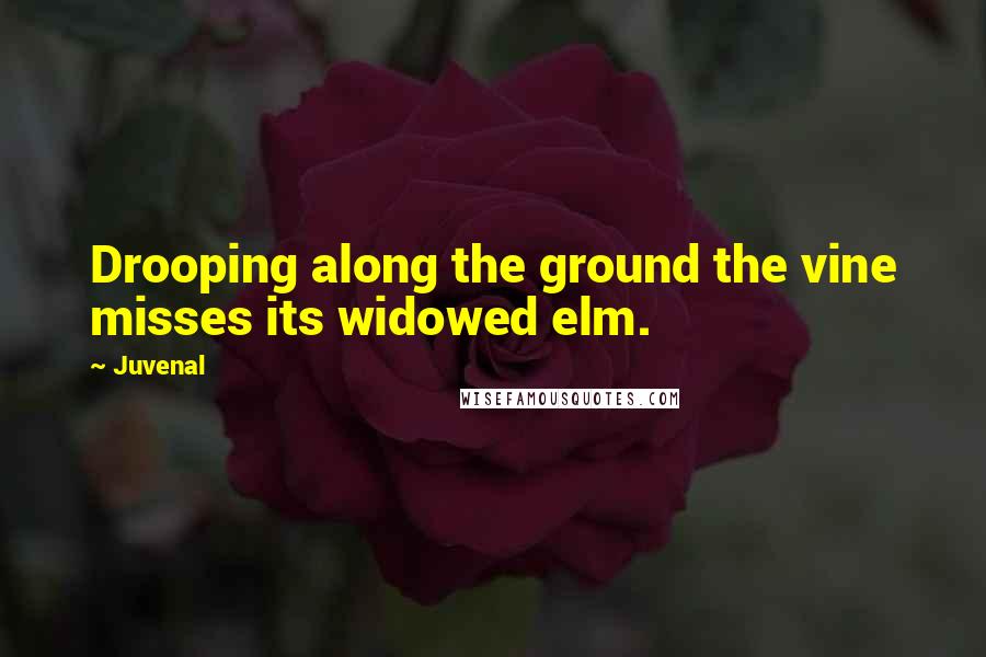 Juvenal Quotes: Drooping along the ground the vine misses its widowed elm.