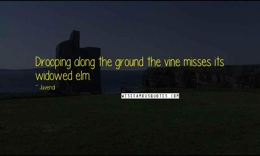 Juvenal Quotes: Drooping along the ground the vine misses its widowed elm.