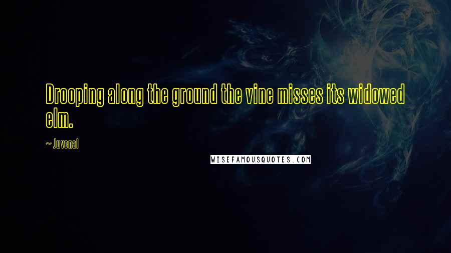 Juvenal Quotes: Drooping along the ground the vine misses its widowed elm.