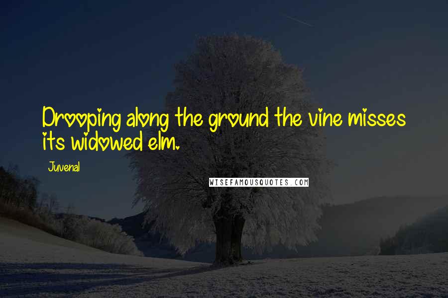 Juvenal Quotes: Drooping along the ground the vine misses its widowed elm.