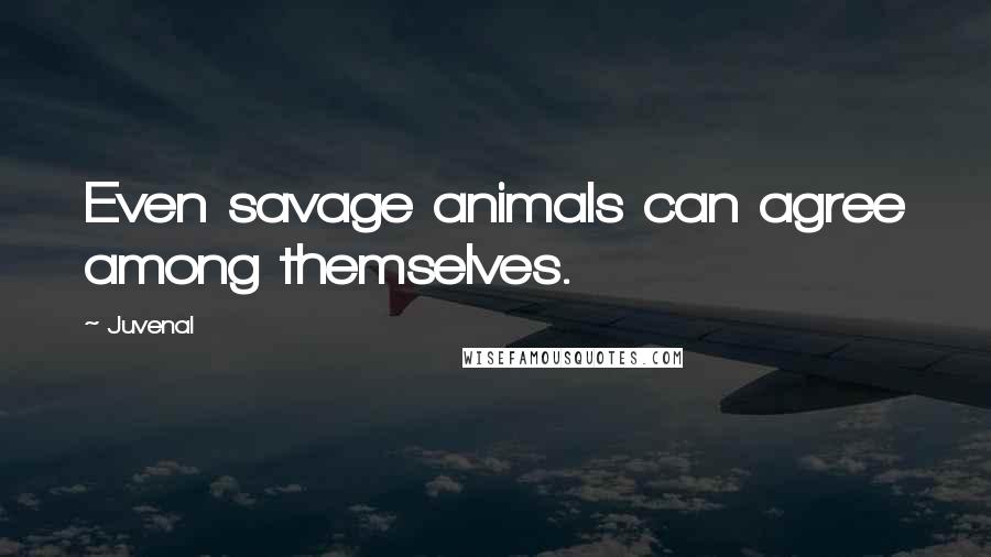 Juvenal Quotes: Even savage animals can agree among themselves.
