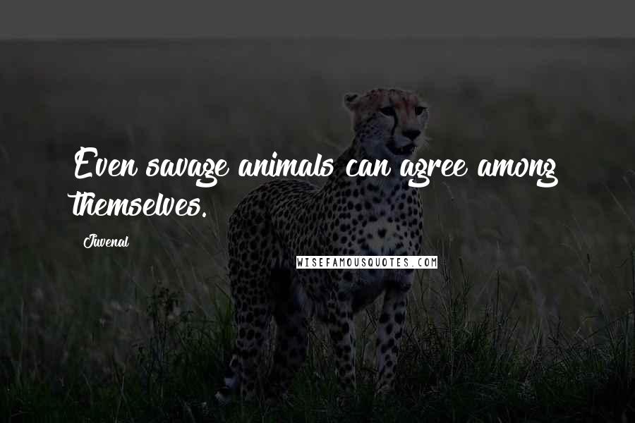 Juvenal Quotes: Even savage animals can agree among themselves.