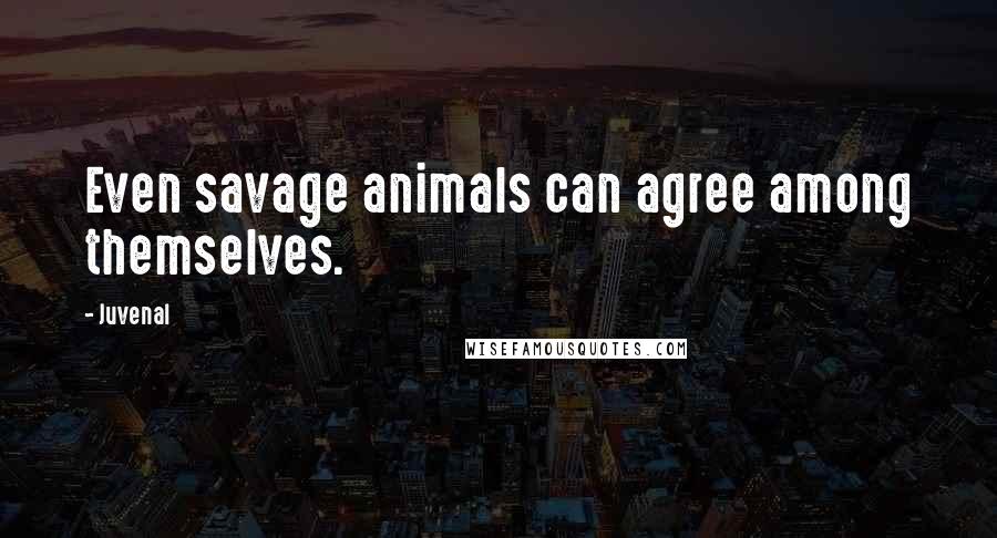 Juvenal Quotes: Even savage animals can agree among themselves.
