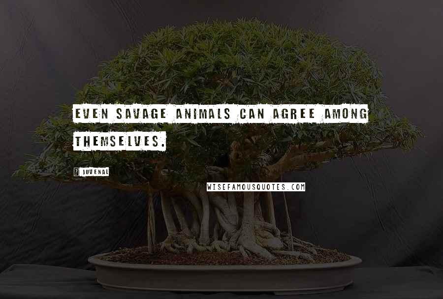 Juvenal Quotes: Even savage animals can agree among themselves.