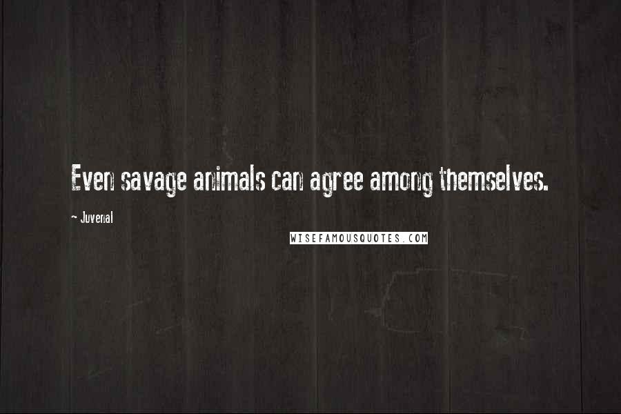Juvenal Quotes: Even savage animals can agree among themselves.