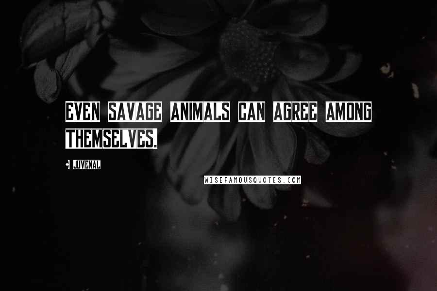 Juvenal Quotes: Even savage animals can agree among themselves.