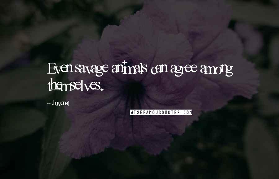 Juvenal Quotes: Even savage animals can agree among themselves.