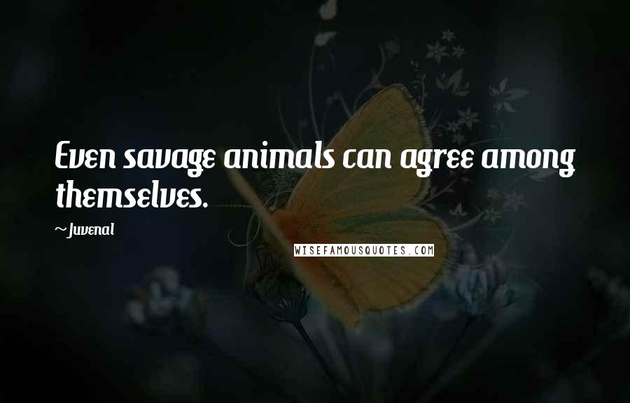 Juvenal Quotes: Even savage animals can agree among themselves.