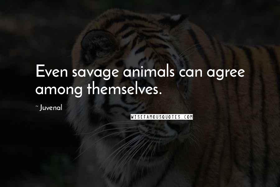 Juvenal Quotes: Even savage animals can agree among themselves.