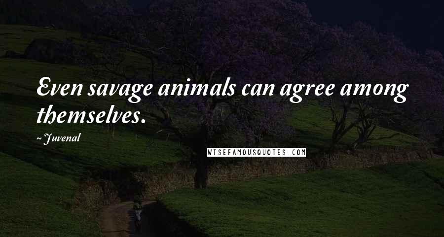 Juvenal Quotes: Even savage animals can agree among themselves.