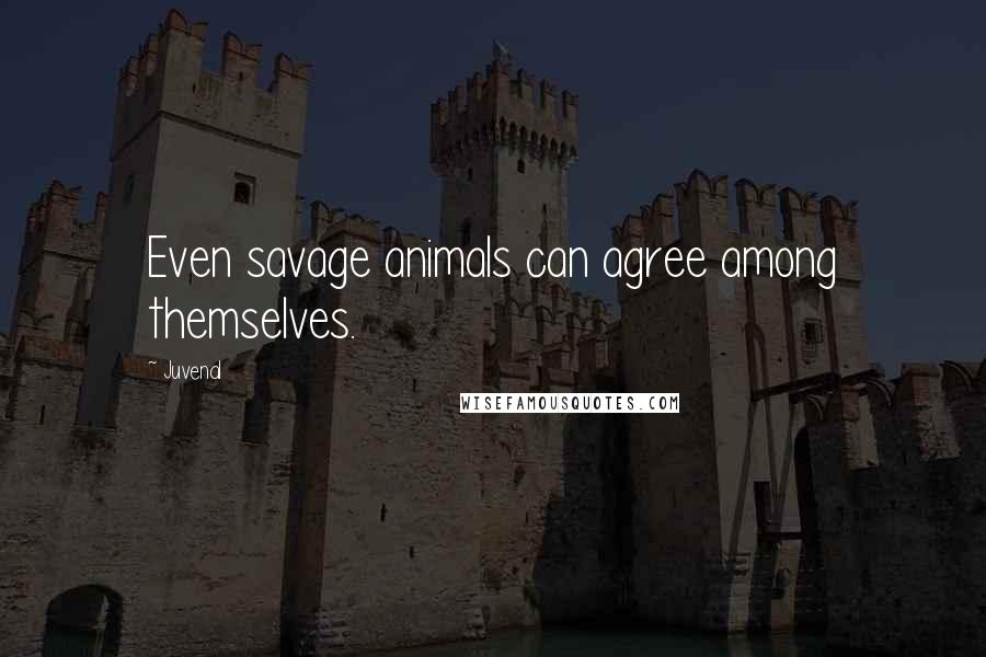 Juvenal Quotes: Even savage animals can agree among themselves.