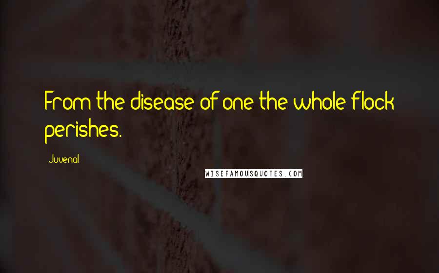 Juvenal Quotes: From the disease of one the whole flock perishes.