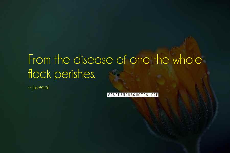 Juvenal Quotes: From the disease of one the whole flock perishes.