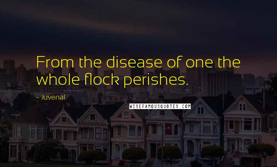 Juvenal Quotes: From the disease of one the whole flock perishes.