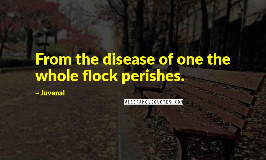 Juvenal Quotes: From the disease of one the whole flock perishes.