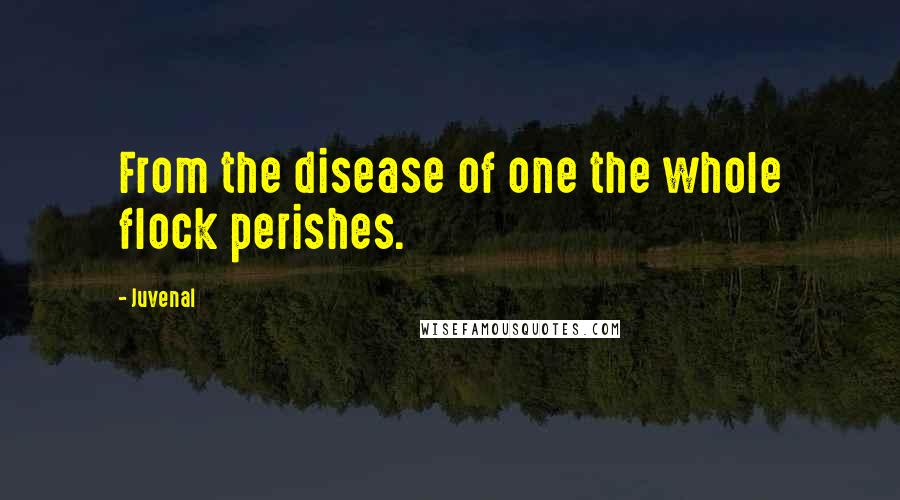 Juvenal Quotes: From the disease of one the whole flock perishes.