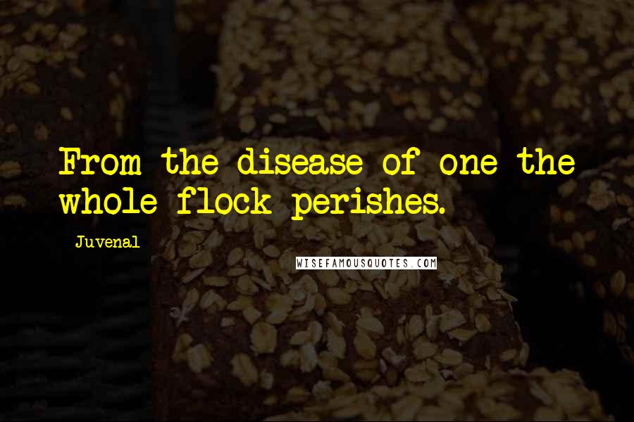 Juvenal Quotes: From the disease of one the whole flock perishes.