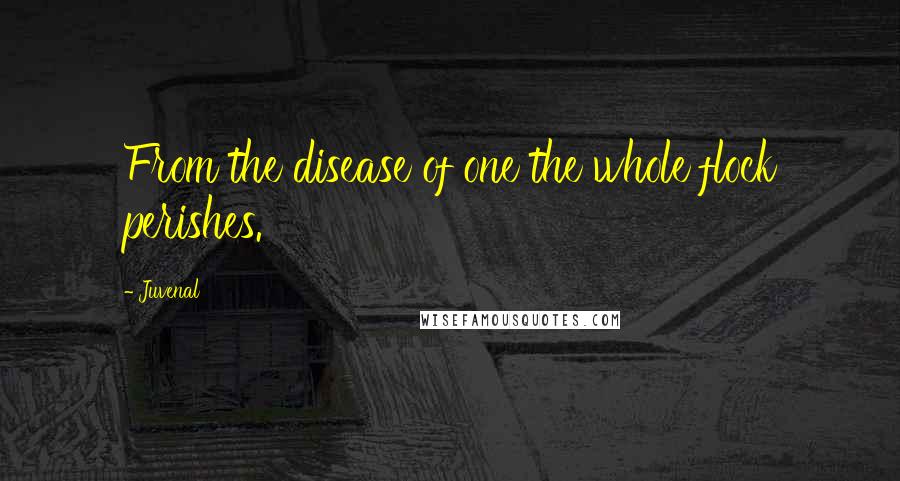 Juvenal Quotes: From the disease of one the whole flock perishes.