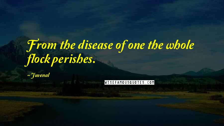 Juvenal Quotes: From the disease of one the whole flock perishes.