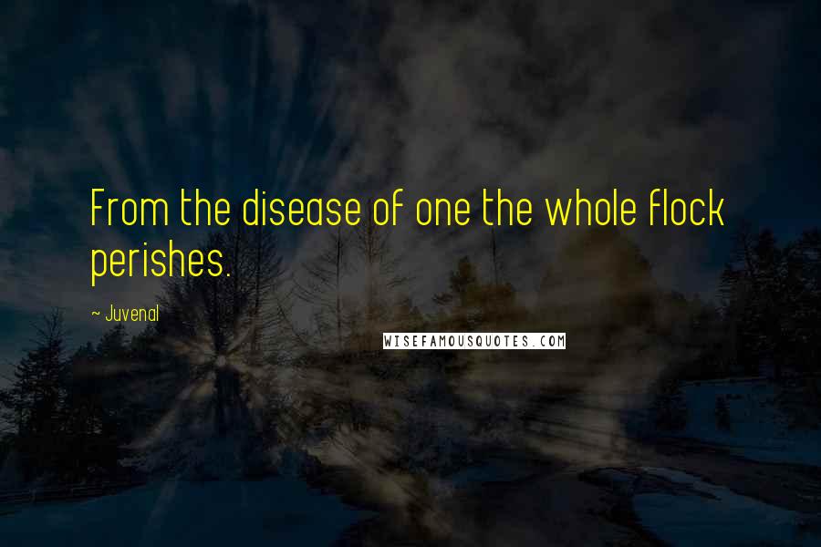 Juvenal Quotes: From the disease of one the whole flock perishes.