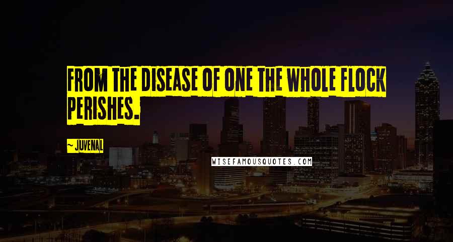 Juvenal Quotes: From the disease of one the whole flock perishes.