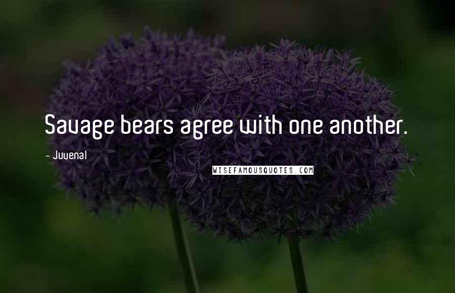 Juvenal Quotes: Savage bears agree with one another.