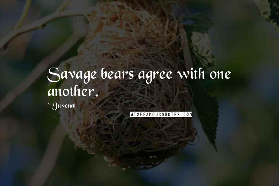 Juvenal Quotes: Savage bears agree with one another.