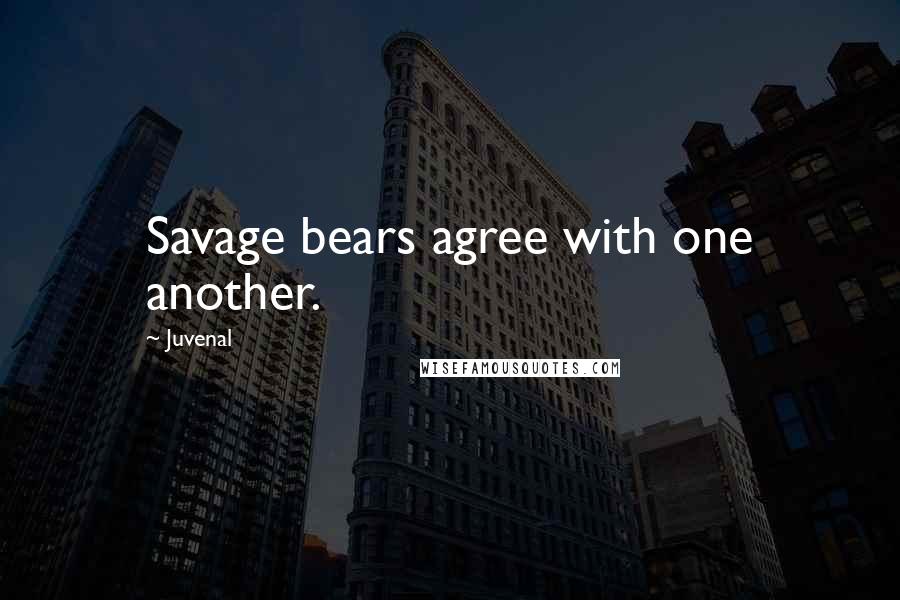Juvenal Quotes: Savage bears agree with one another.