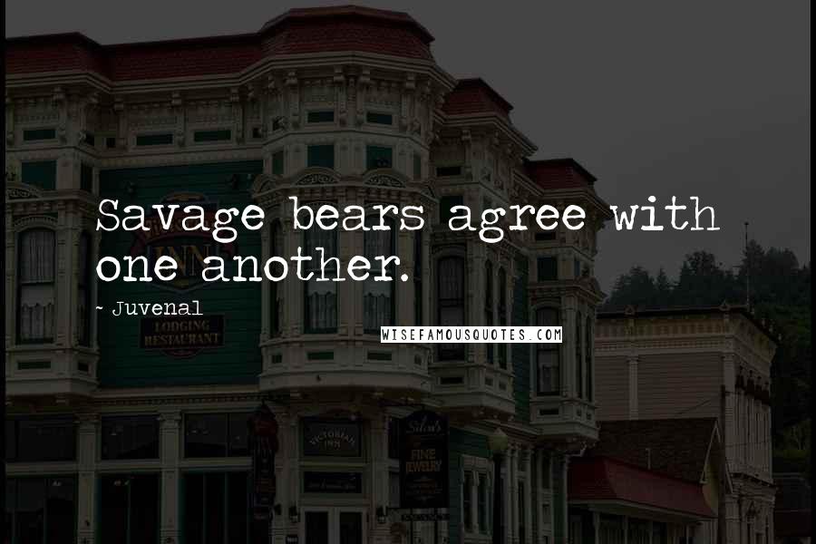 Juvenal Quotes: Savage bears agree with one another.