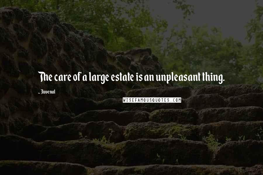 Juvenal Quotes: The care of a large estate is an unpleasant thing.