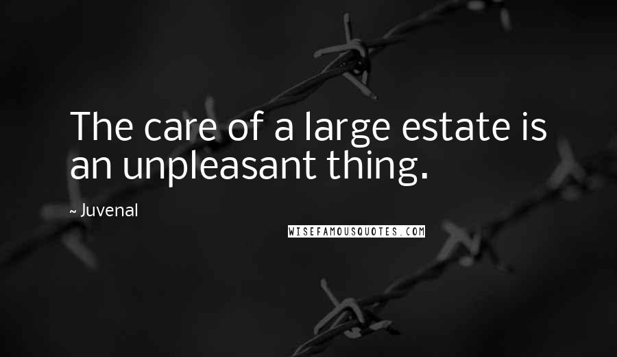 Juvenal Quotes: The care of a large estate is an unpleasant thing.