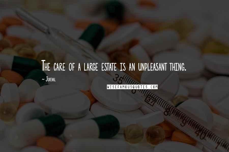 Juvenal Quotes: The care of a large estate is an unpleasant thing.