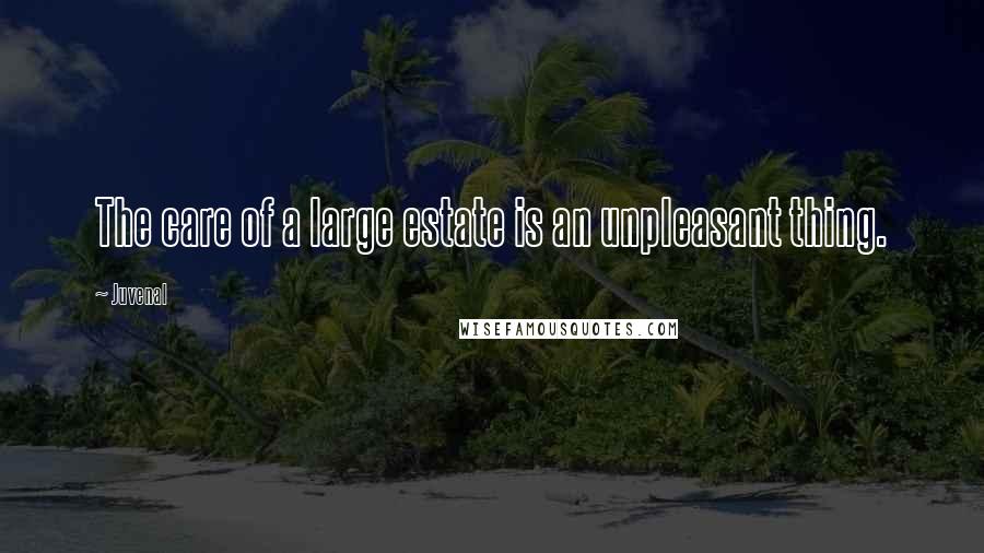 Juvenal Quotes: The care of a large estate is an unpleasant thing.