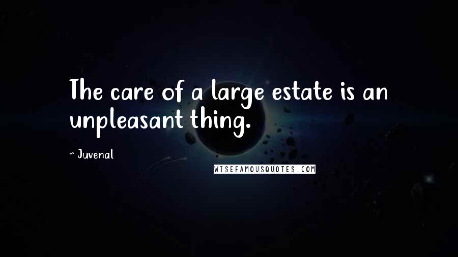 Juvenal Quotes: The care of a large estate is an unpleasant thing.