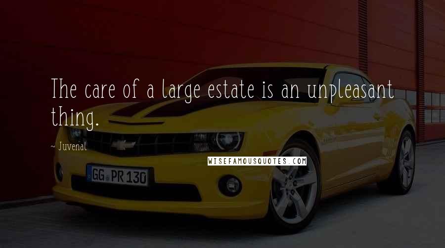 Juvenal Quotes: The care of a large estate is an unpleasant thing.