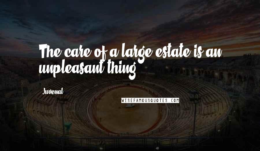 Juvenal Quotes: The care of a large estate is an unpleasant thing.
