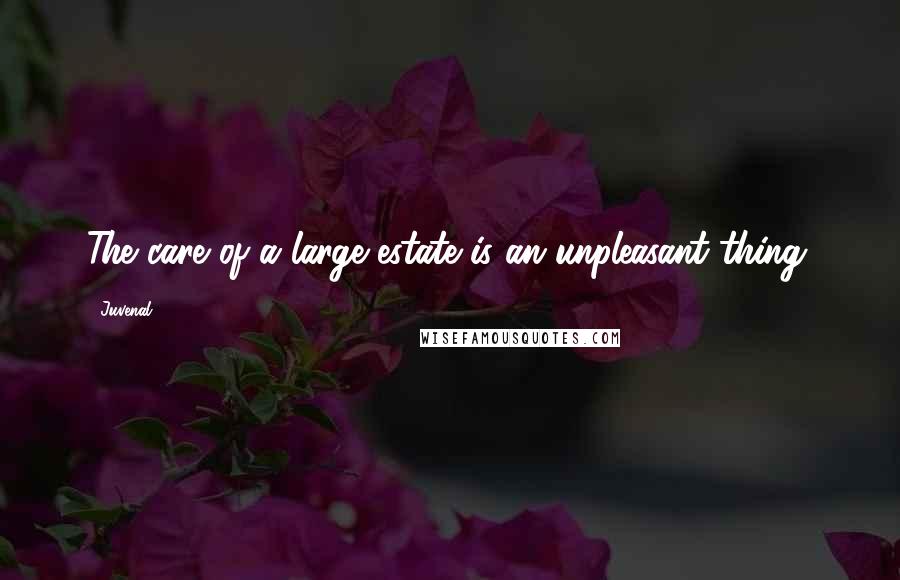 Juvenal Quotes: The care of a large estate is an unpleasant thing.